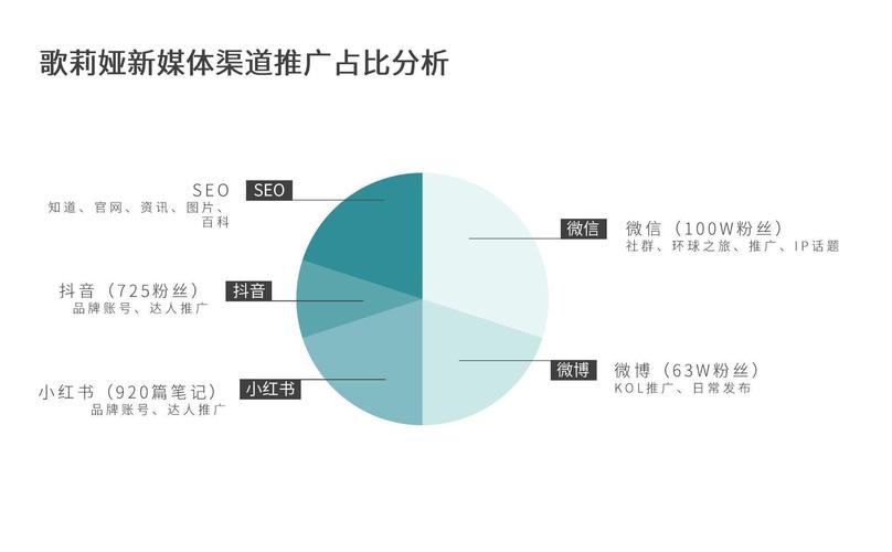 莆田SEO监控,洞察网络营销趋势，助力企业精准营销 莆田SEO监控,洞察网络营销趋势，助力企业精准营销 网站开发