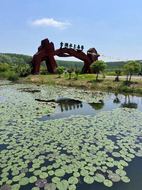 金湖SEO公司助力企业线上崛起，打造网络营销新格局 金湖SEO公司助力企业线上崛起，打造网络营销新格局 360搜优化
